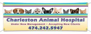 BANLOOKPETS