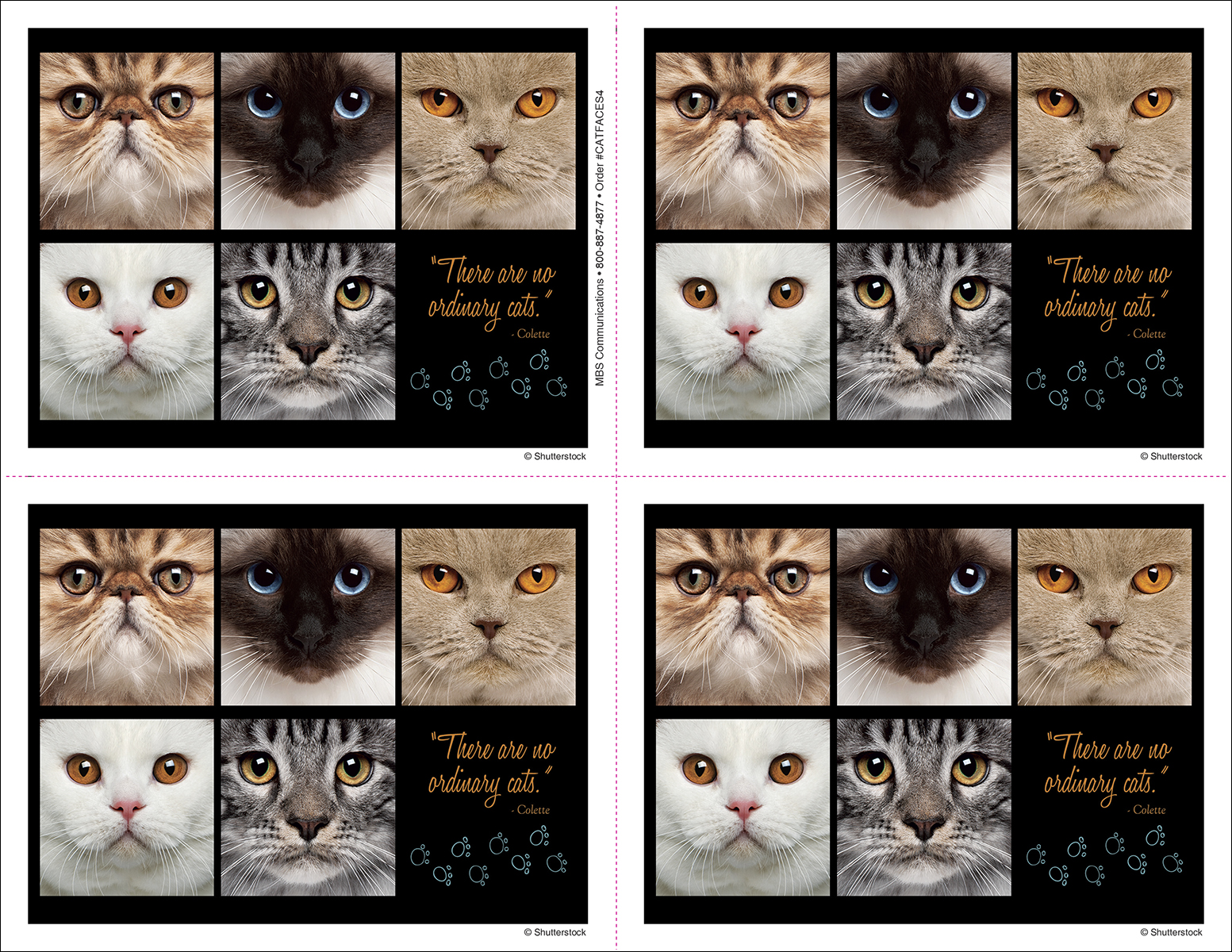 Cat Faces Postcard 4UP