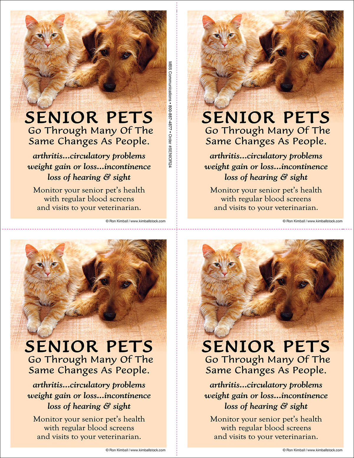Senior Pets Postcard 4UP