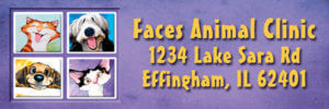 ADDFACES
