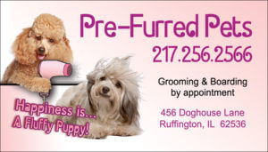BIZBLOWDRY
