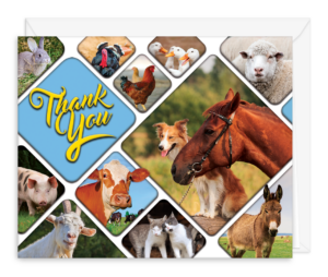 THANKSFARM