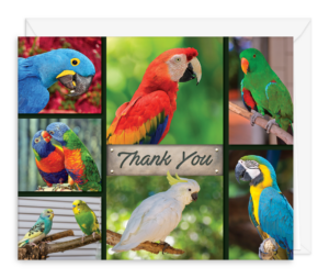 THANKSFEATHER