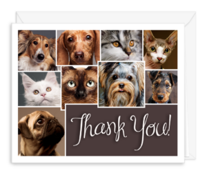 THANKSPETS
