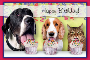 BDAYCUPCAKE