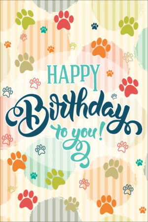 BDAYSCATTER