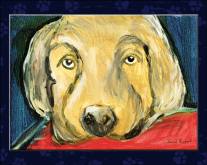 CSSDOGFACESM