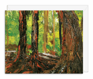 CSSFORESTSM
