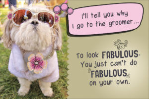 FABULOUS