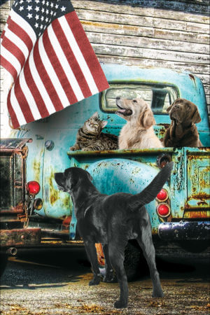 FLAGTRUCK