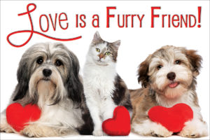 FURRY3
