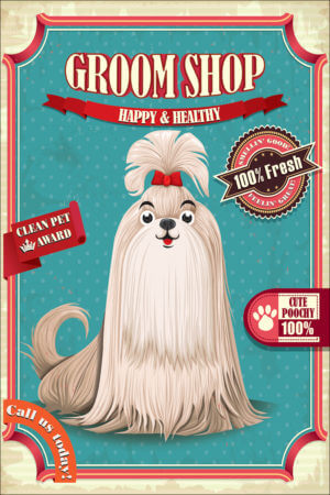 GROOMSHOP