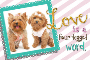 LOVEFRAME