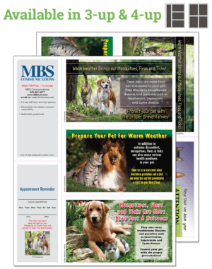 MULTIINFO2