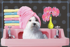 PINKSINK