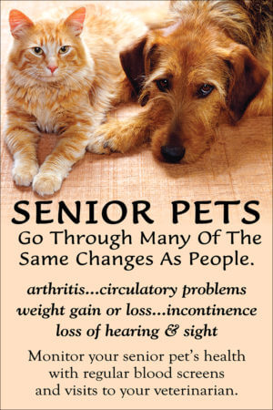 SENIOR2