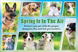 SPRINGAIR