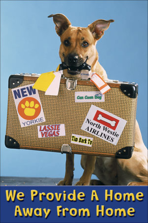 SUITCASE
