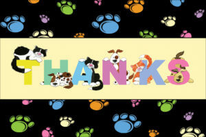 THANKS13