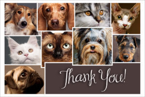 THANKSPETS