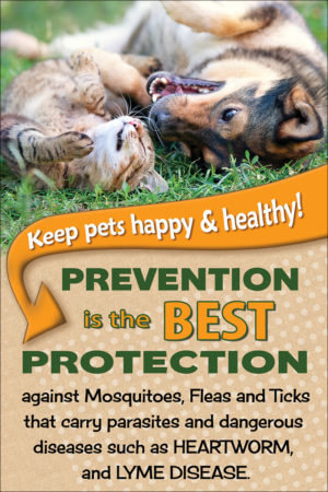 VETBEST