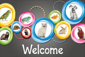 WELCIRCLES