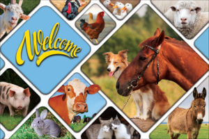 WELFARM
