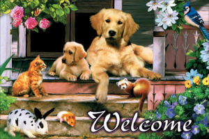 WELPORCH
