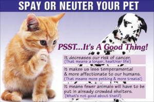 WHYSPAY