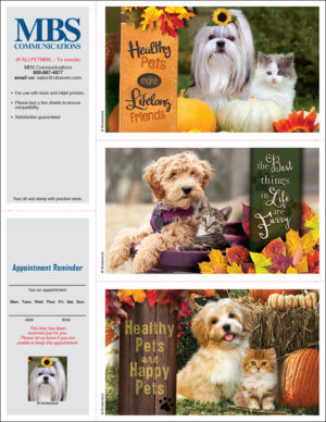 FALLPETMIX