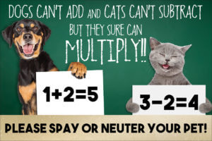 MULTIPLY