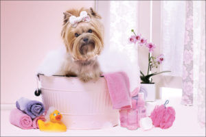 PINKTUB