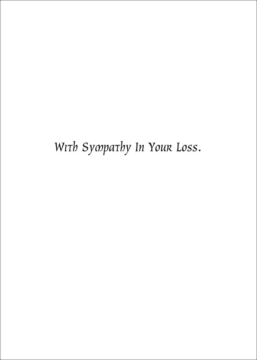 SYMBORDER - Secondary Image
