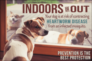 HEARTINDOOR