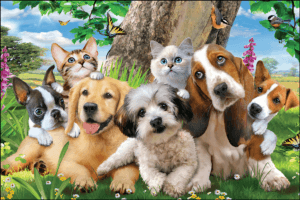 PETCLIMB