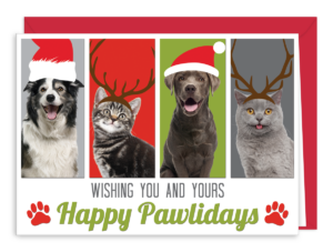 PAWLIDAYSG