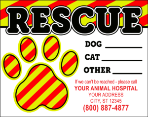 RESCUE12
