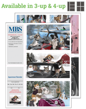 SNOWMOBILES
