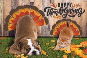 TURKEYPETS