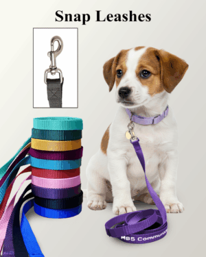 bolt snap leashes