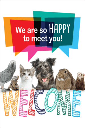 WELRABBIT