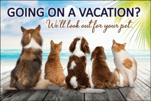 VACATION