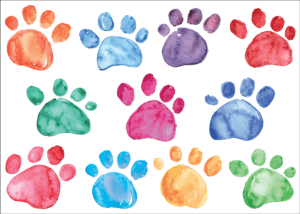 ADOPTCOLORS