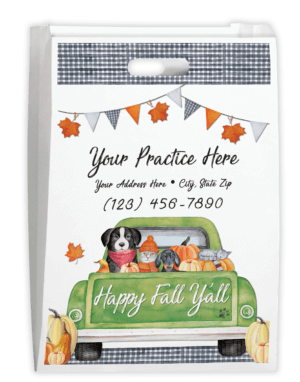 PCOLORBAG129