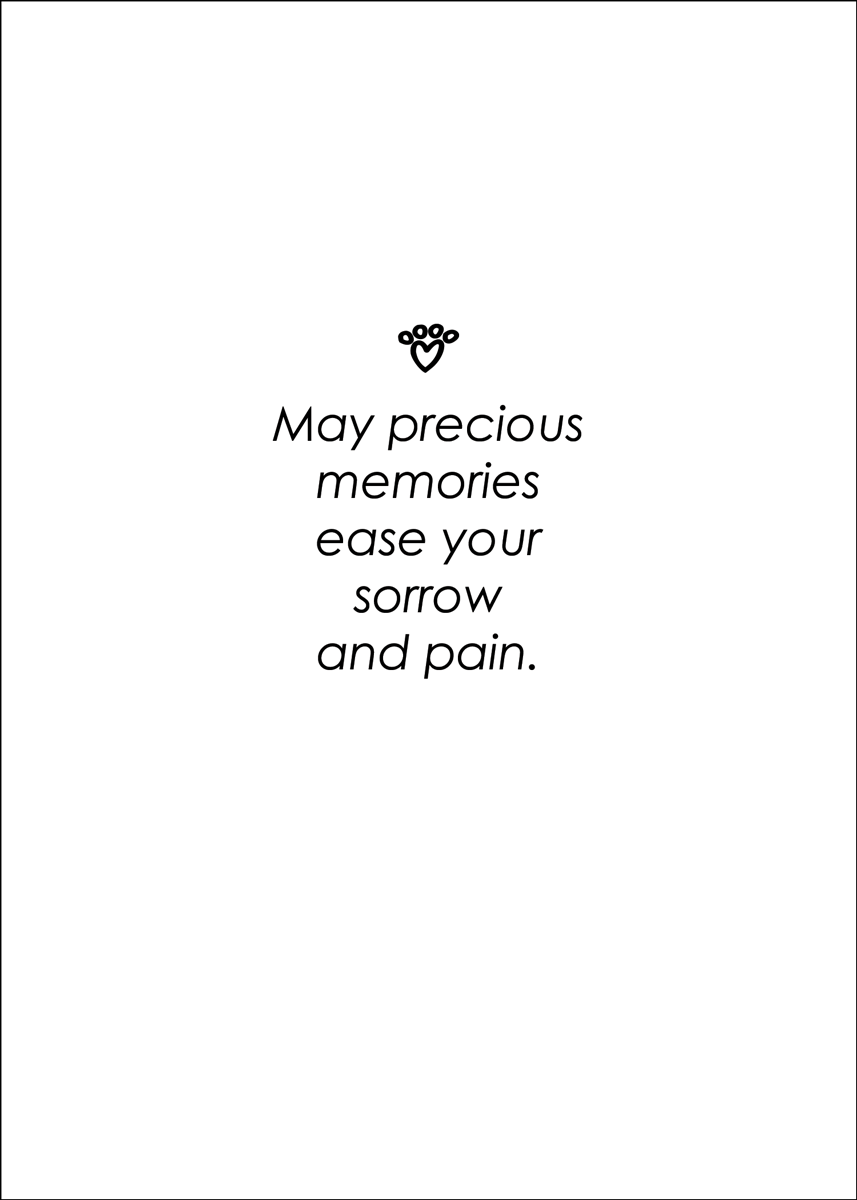 SYMCATBYE - Secondary Image