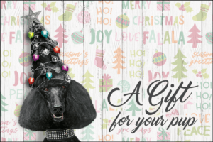 GRGIFTCARD1