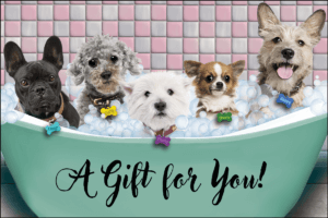 GRGIFTCARD4