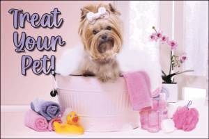 GRGIFTCARD7