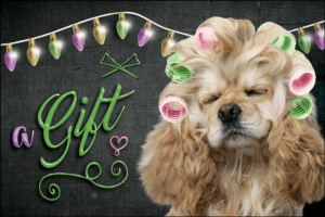 GRGIFTCARD8