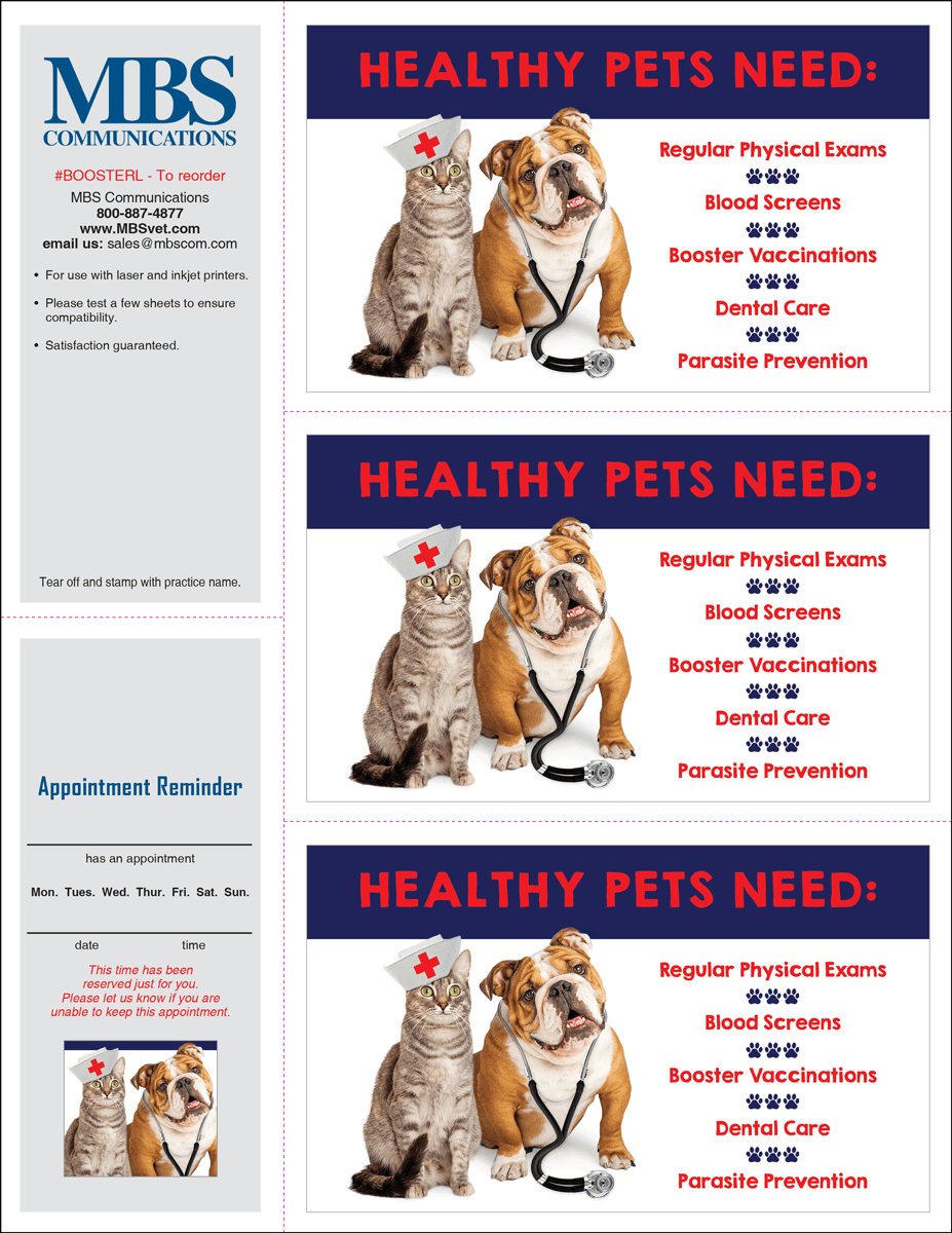 Dog Vaccination Petco Kitten Vaccinations Rabies Vetco Puppy